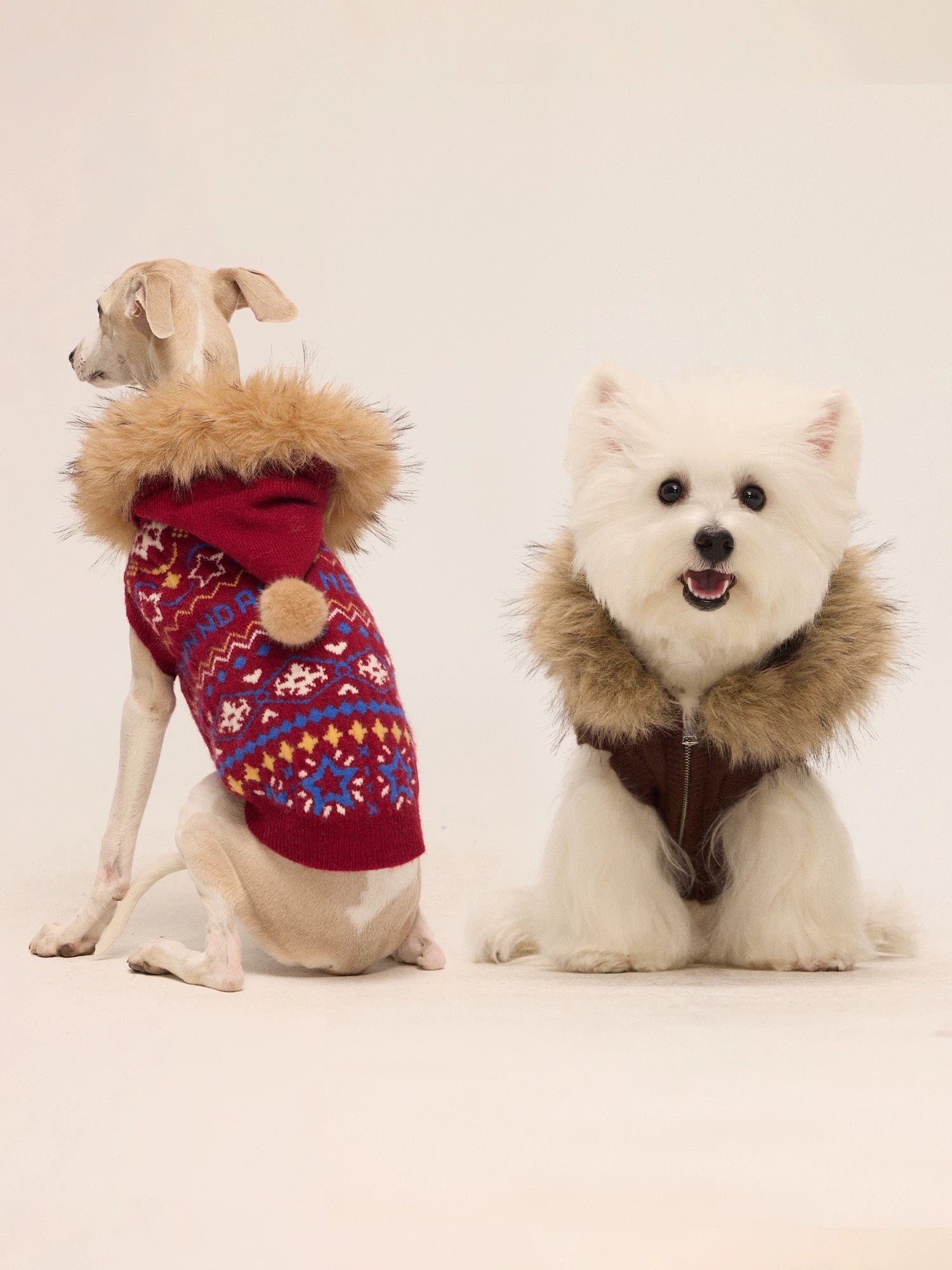 Matching Style Set-NewJNXS Fair Isle Dog Sweater Vest(Dog)