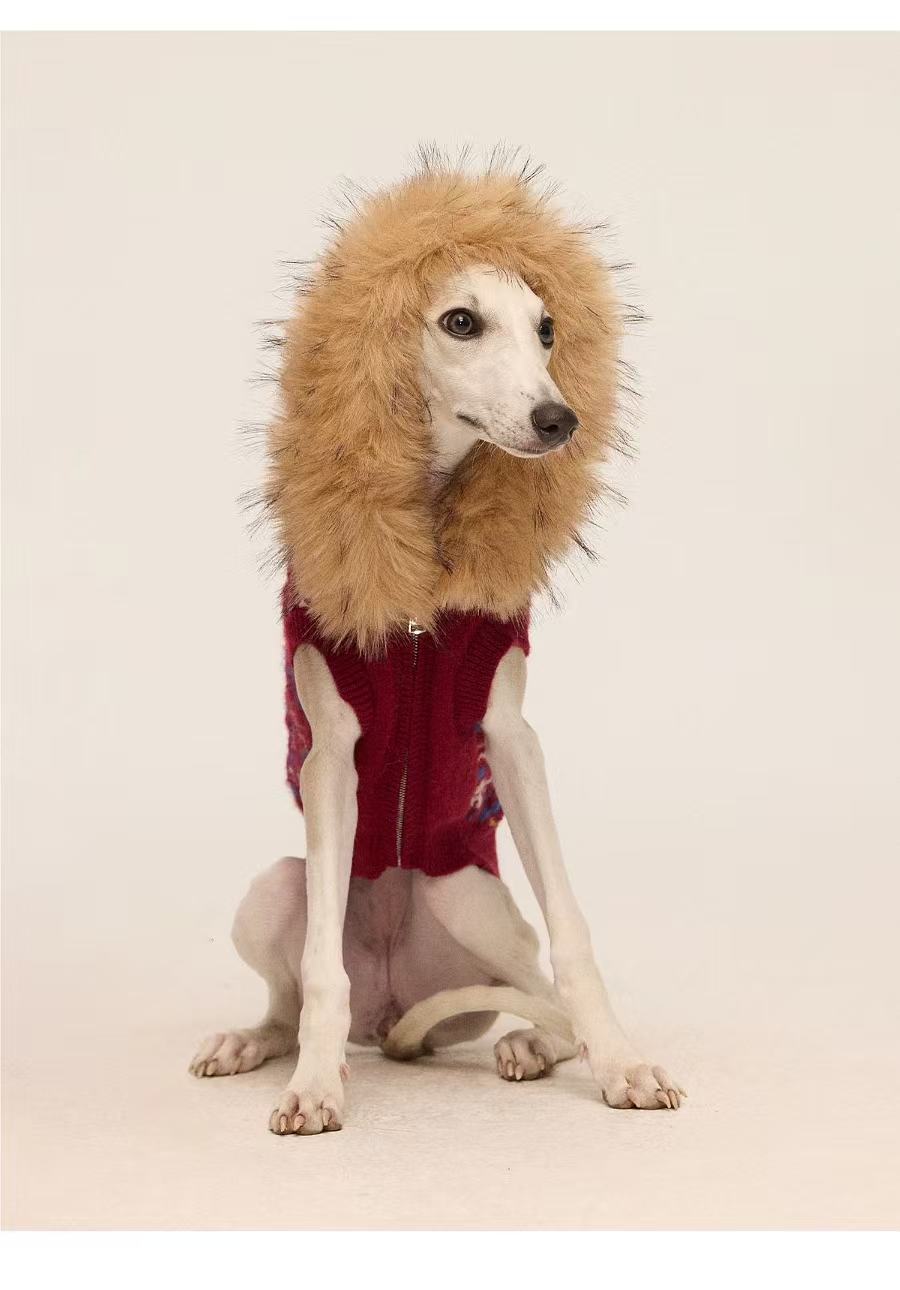 Matching Style Set-NewJNXS Fair Isle Dog Sweater Vest(Dog)