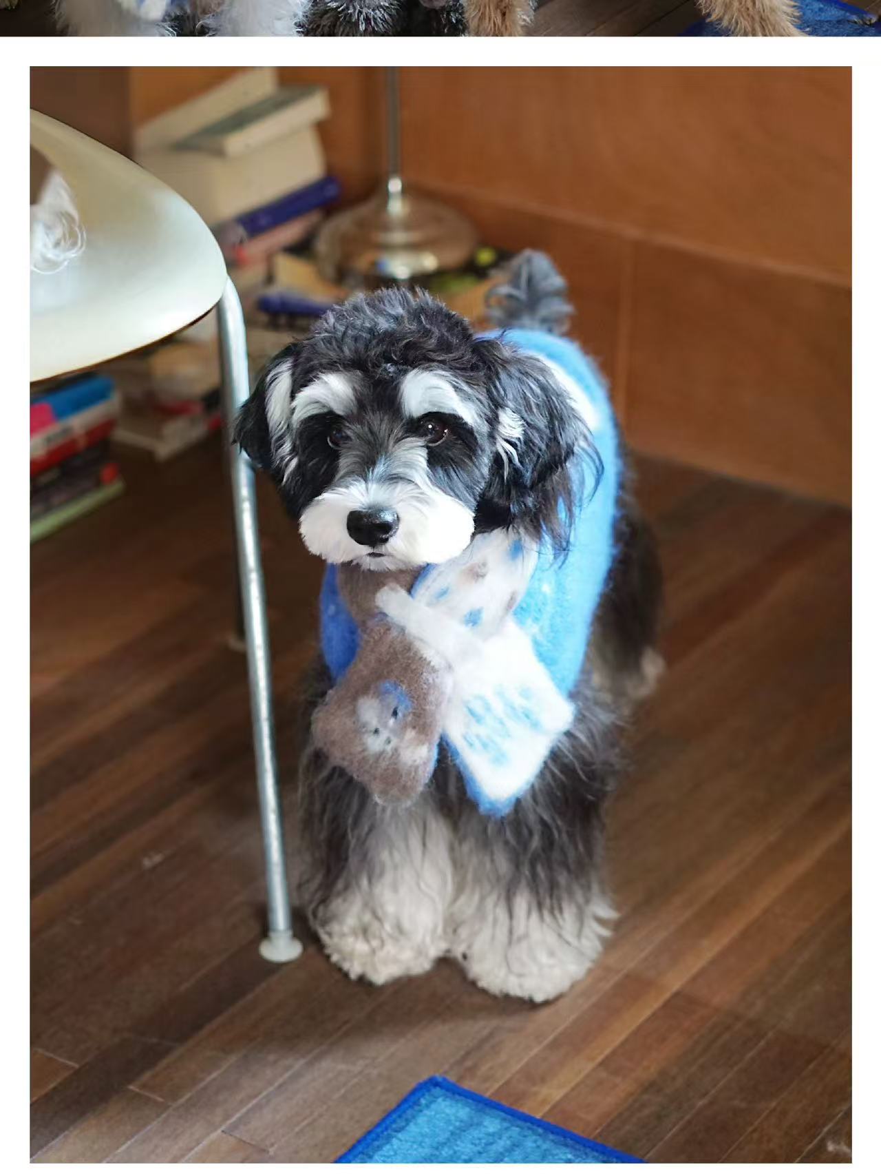 Matching Style Sets- DYAAT PET Ibiza Blue Mohair “Soft Little Elephant”(Pet Sweater)