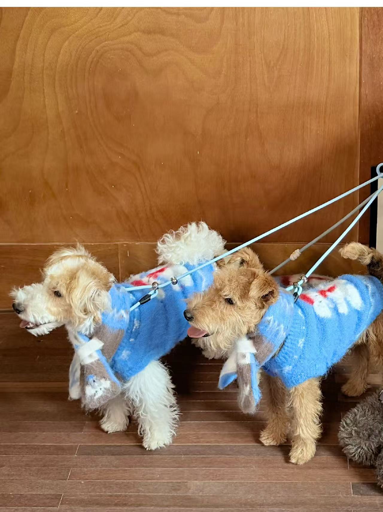 Matching Style Sets- DYAAT PET Ibiza Blue Mohair “Soft Little Elephant”(Pet Sweater)