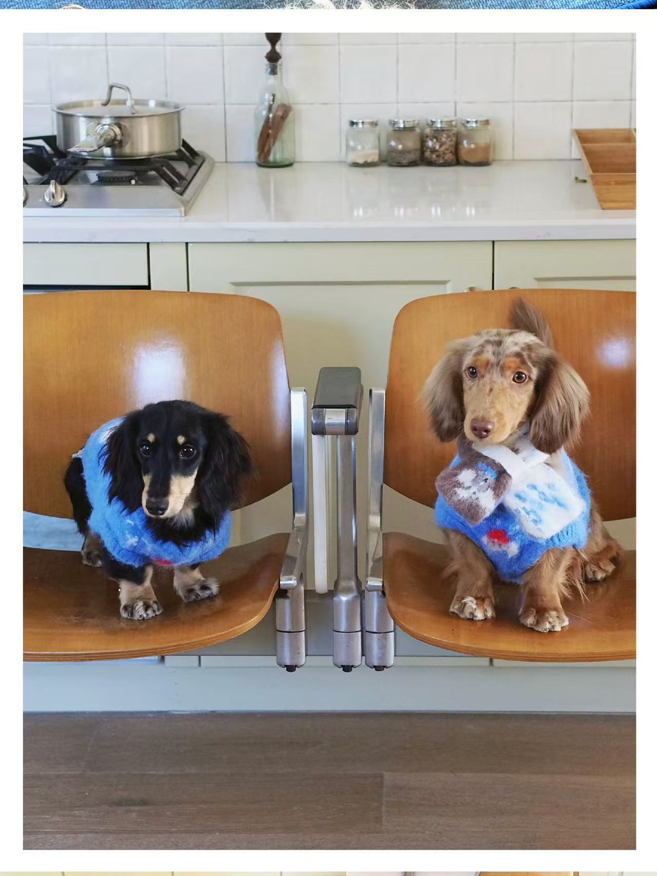 Matching Style Sets- DYAAT PET Ibiza Blue Mohair “Soft Little Elephant”(Pet Sweater)