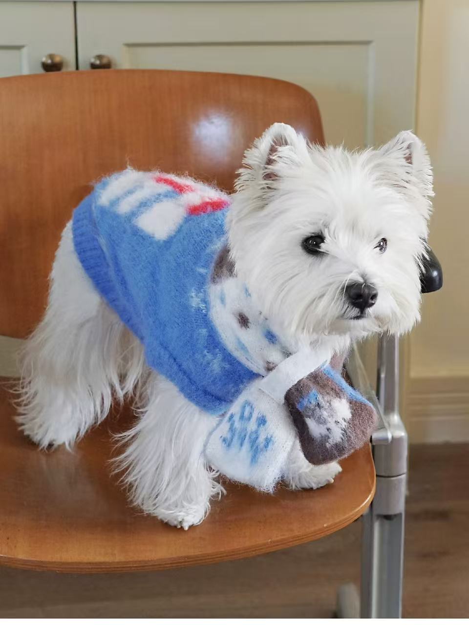 Matching Style Sets- DYAAT PET Ibiza Blue Mohair “Soft Little Elephant”(Pet Sweater)