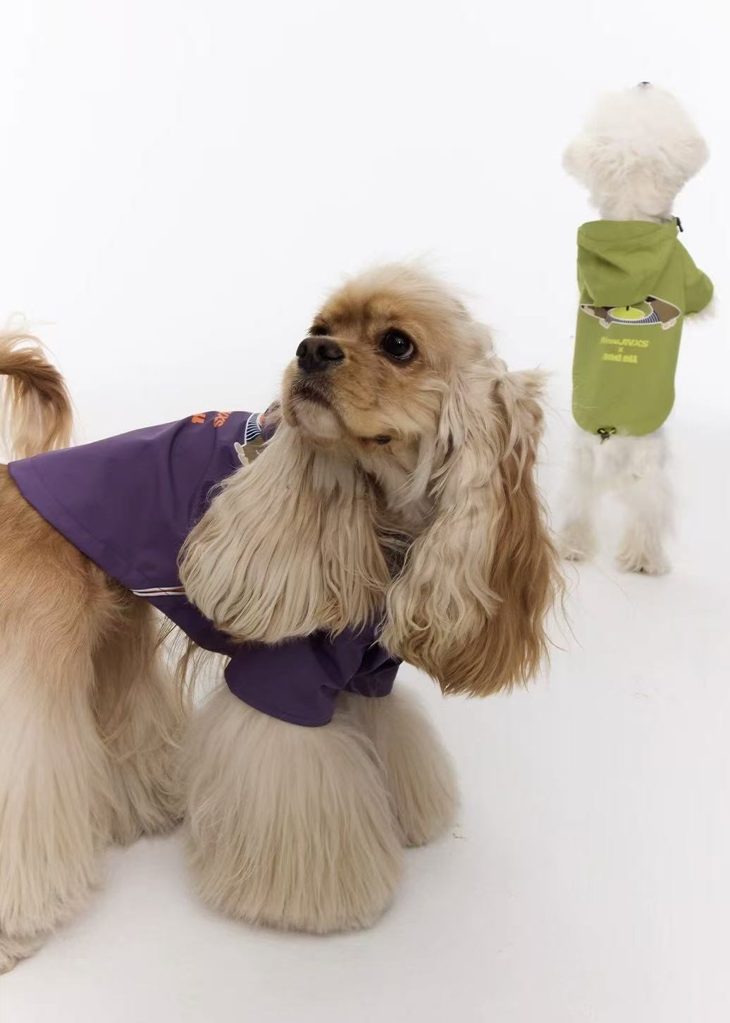 Matching Style Set- NewJNXS & andall Dog Outdoor Jacket with Leash Attachment (Dog)