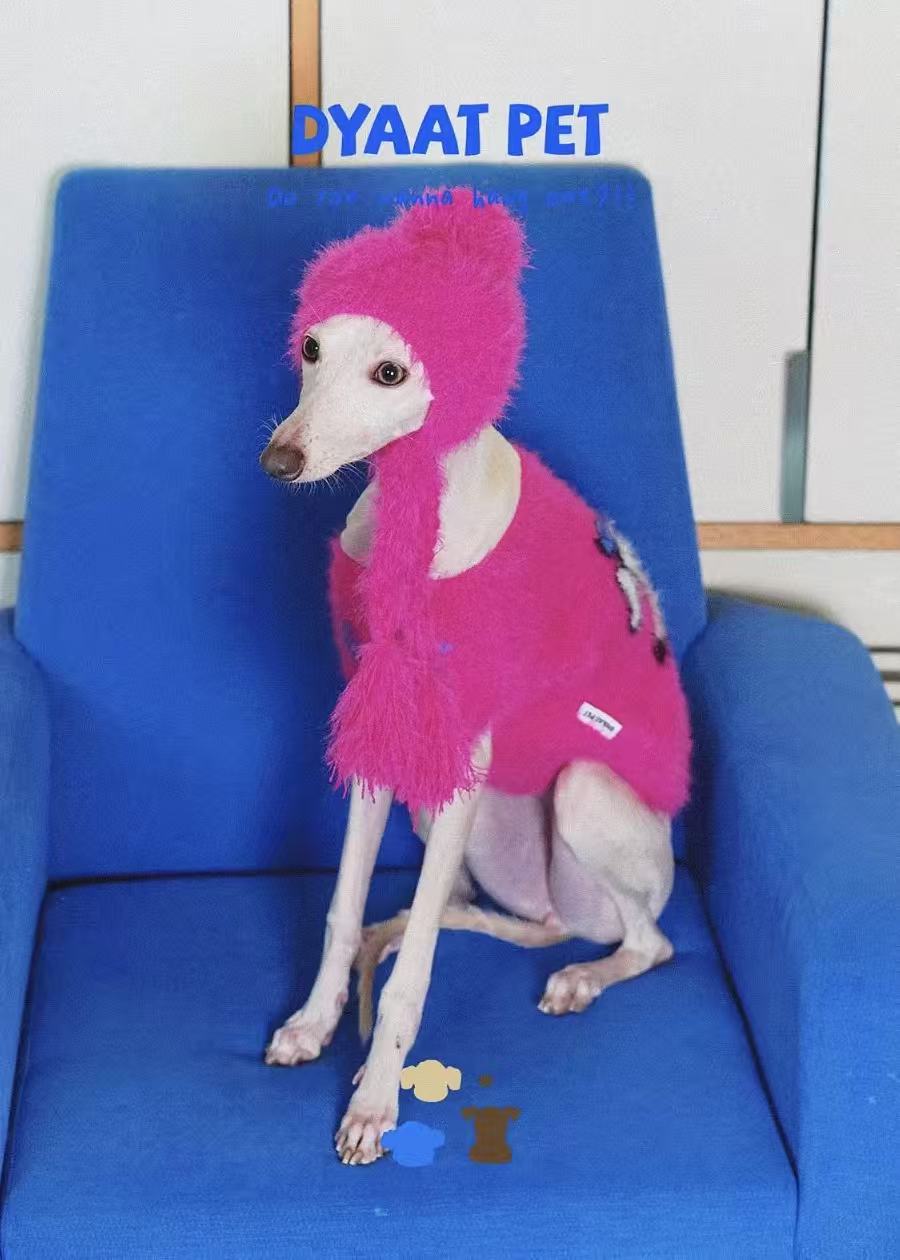 Matching Style Set-DYAATPET Rose Pink Fun Apple Dog Mink Fleece Hat