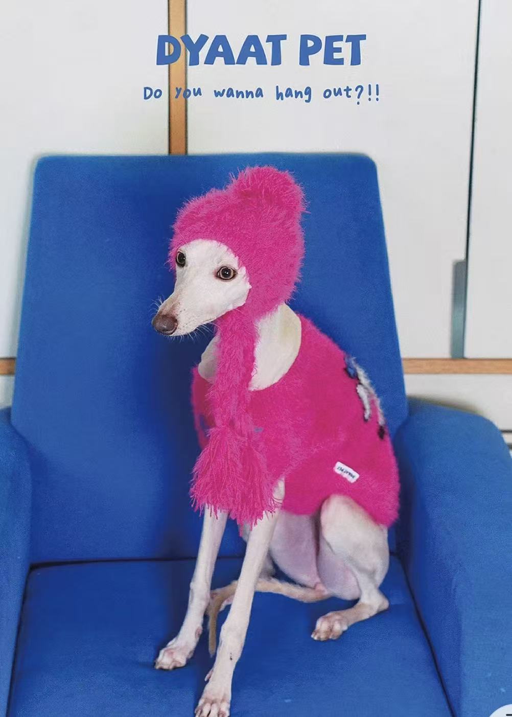 Matching Style Set-DYAATPET Rose Pink Fun Apple Dog Mink Fleece Sweater