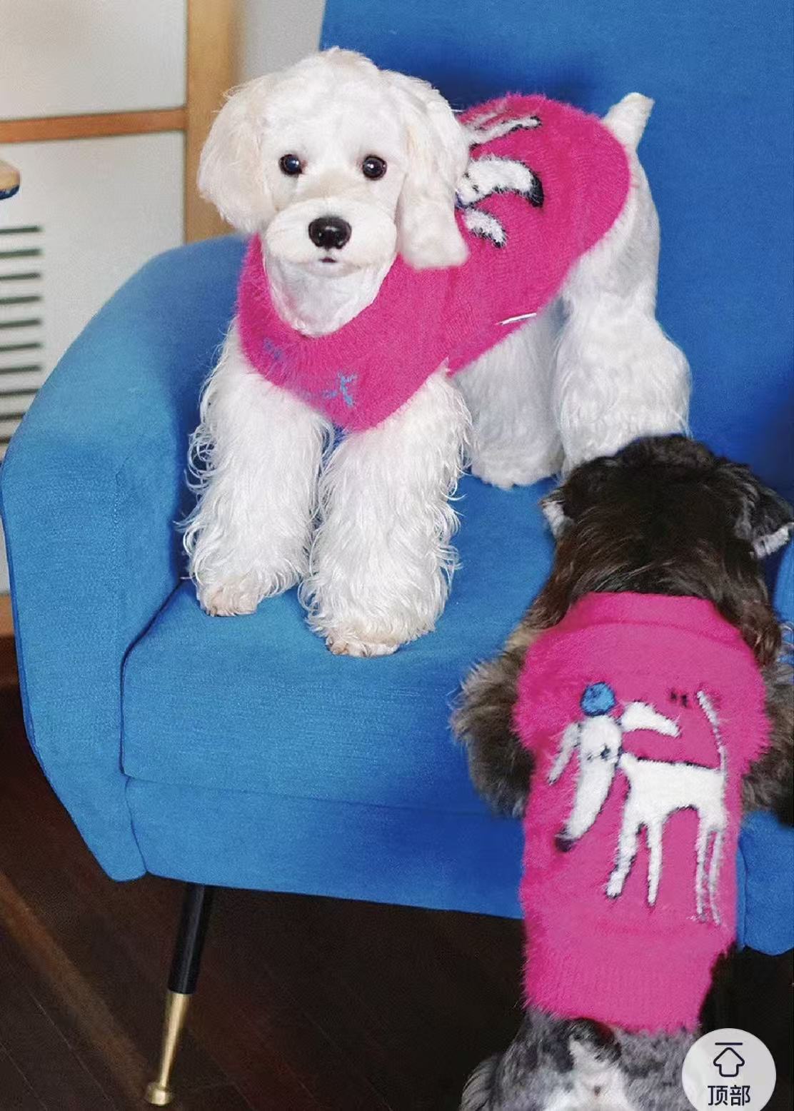 Matching Style Set-DYAATPET Rose Pink Fun Apple Dog Mink Fleece Sweater