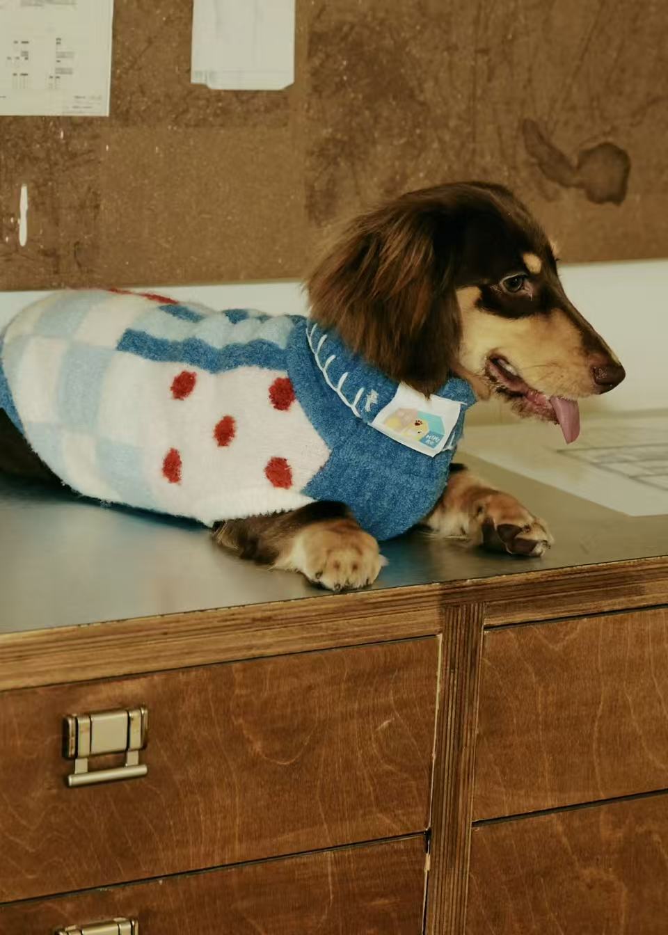 Matching Style Set-MIMIRO Casae Color–Pet Elastic Turtleneck Dog Sweater