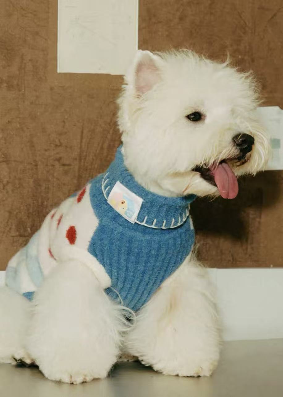 Matching Style Set-MIMIRO Casae Color–Pet Elastic Turtleneck Dog Sweater