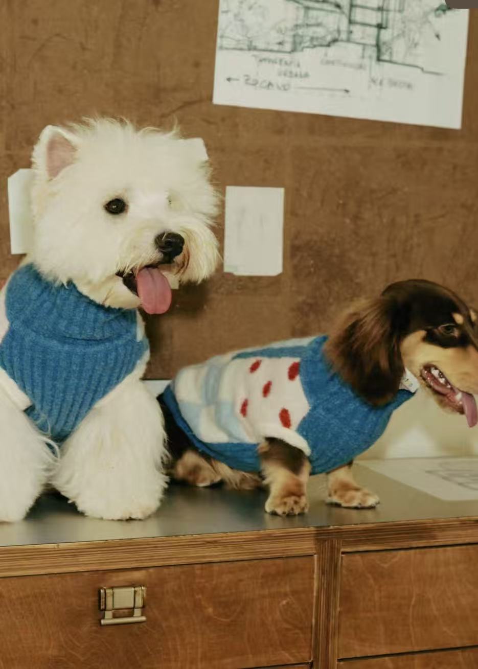 Matching Style Set-MIMIRO Casae Color–Pet Elastic Turtleneck Dog Sweater