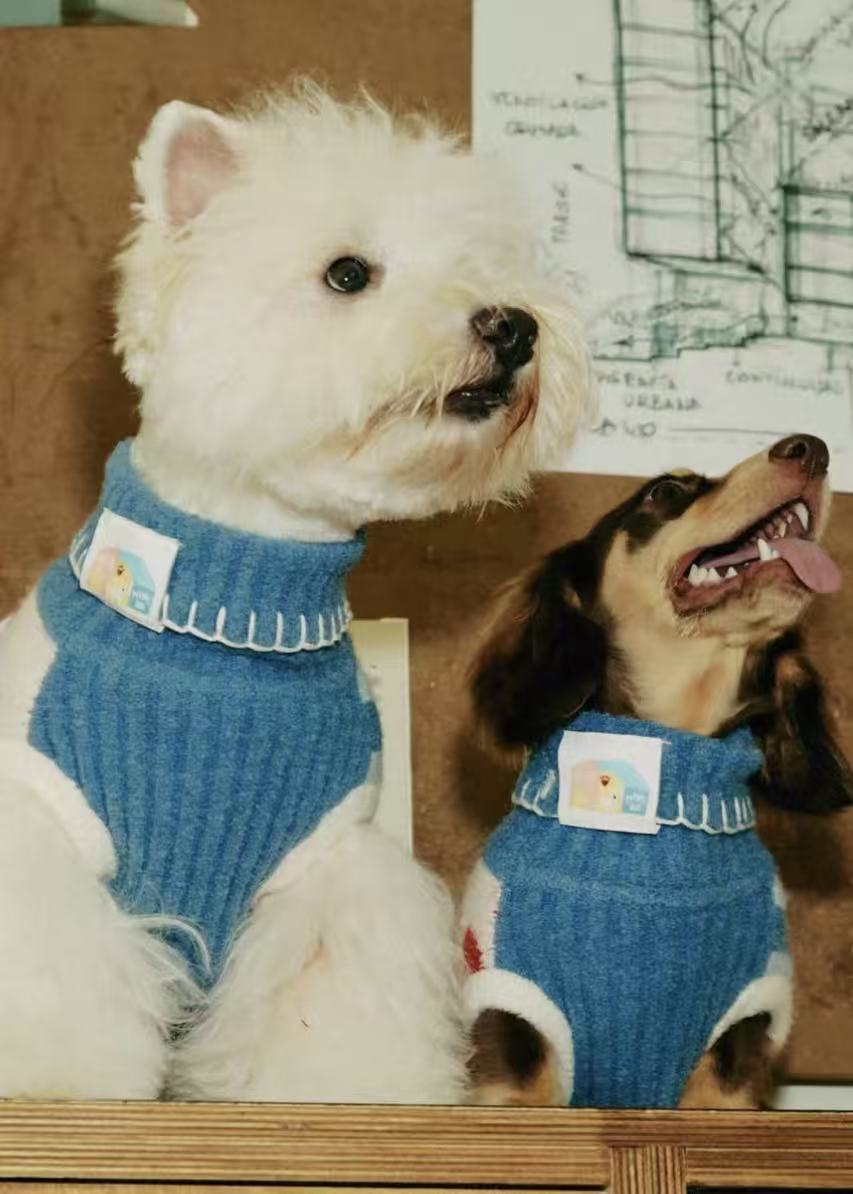 Matching Style Set-MIMIRO Casae Color–Pet Elastic Turtleneck Dog Sweater